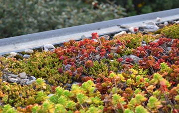 the cost of Roe End green roof installation