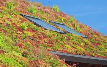 Roe End living roof systems